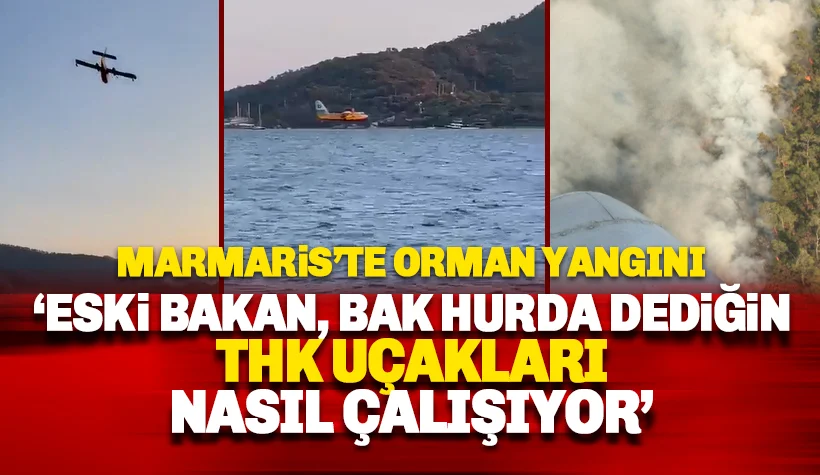 Marmaris'te Orman Yangını: THK Uçakları müdahalesiyle söndürüldü