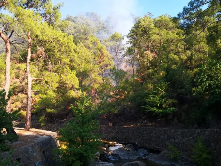 Marmaris'te Orman Yangını: THK Uçakları müdahalesiyle söndürüldü