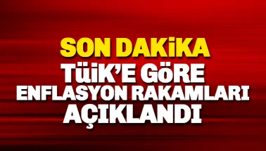 Son dakika: TÜİK'e göre Enflasyon Rakamları açıklandı