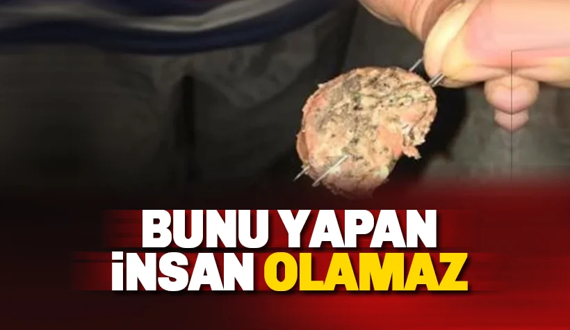 Bunu yapan insan olamaz!