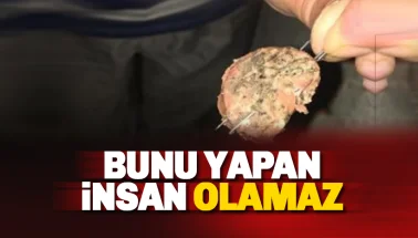 Bunu yapan insan olamaz!
