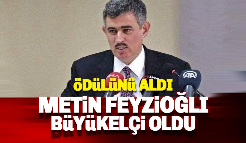 Metin Feyzioğlu Büyükelçi olarak atandı