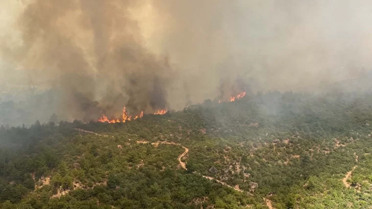 Çanakkale yanıyor. Yangın evlere ulaştı