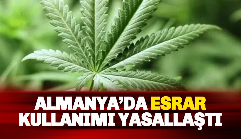 Almanya'da esrar kullanmak yasal hale geldi
