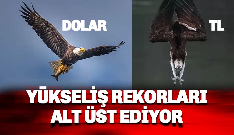 Dolar yükselişinde rekor seri devam ediyor