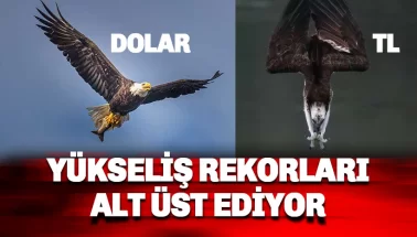 Dolar yükselişinde rekor seri devam ediyor