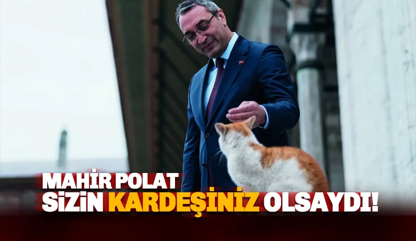 Mahir Polat'ın kardeşi Bakan'a seslendi: İnsani adımı neden esirgiyorsunuz?