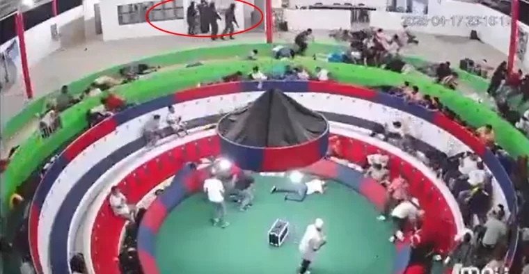 Horoz dövüşü alanına silahlı baskın: 12 ölü çok sayıda yaralı