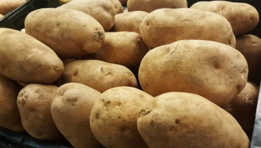 Mersin'de 850 ton patates 'virüslü' çıktı
