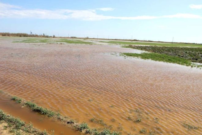 Mersin tarım arazisi sular altında kaldı