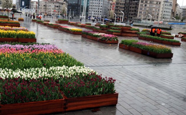 Lale Koruma Timi Taksim meydanı