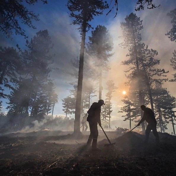 Sungurlu Manisa Ormanları Fotoğrafı diCabrio