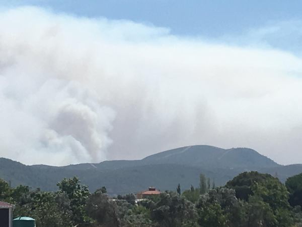 İzmir'de Orman Yangını Başladı