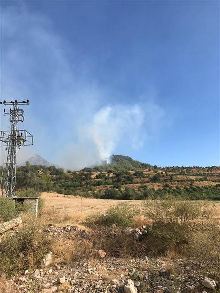 Orman Yangını Antalya Aksu