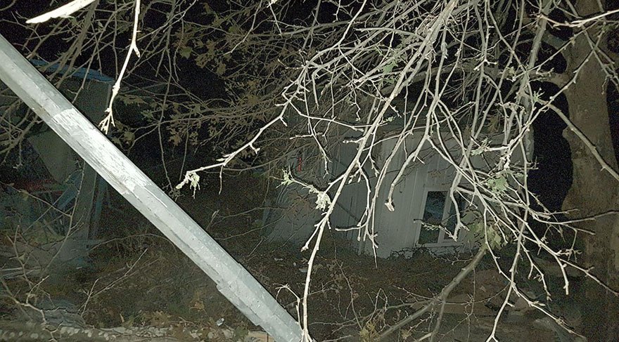 Antalya Kemer'de ağaca yıldırım düştü