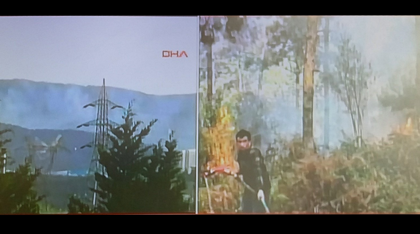 Aydos Ormanı Yangını