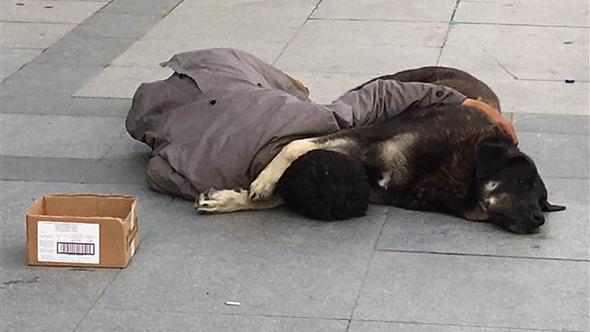 Taksim sokakta köpeği ile uyuyan çocuk