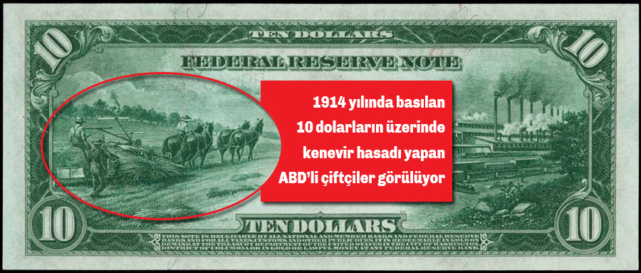 10 Dolar banknot 1914 Hint  Keneviri